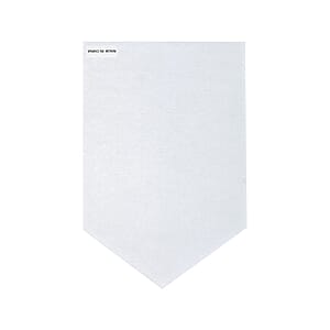Banner Pennant