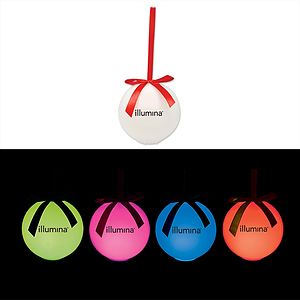 LED Ornament