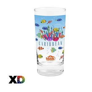 12.5 Oz. Clear Beverage Glass