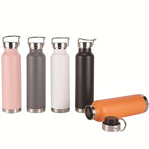 22 oz Double Wall Stainless Bottle