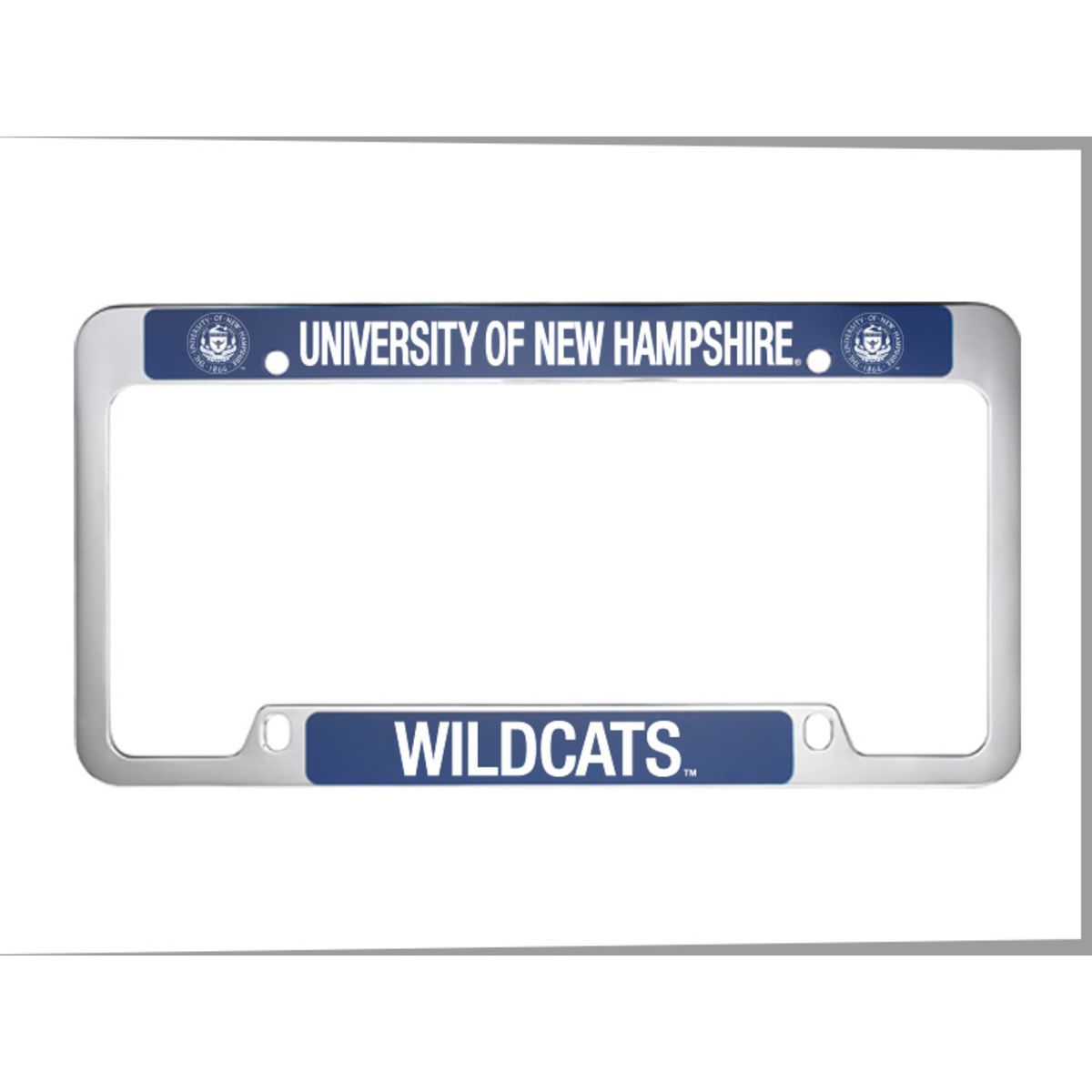 Brushed Zinc and Colored License Frame